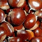 Les castanyes