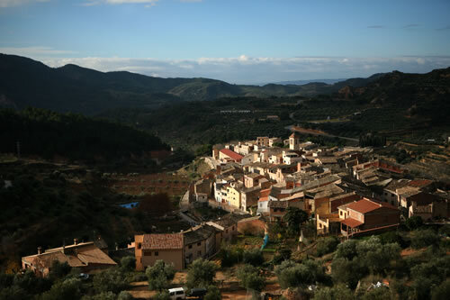 Cabassers, rodejat d'oliveres