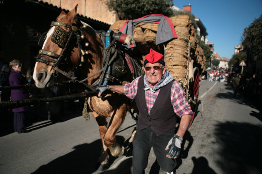 Traginer guiant un carro gros