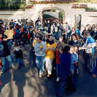 El pi dels petits
