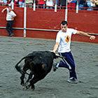 Les vaquetes