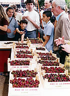Parada de cireres
