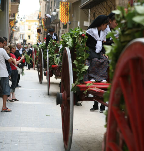 Carros dels portants