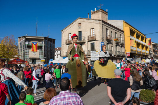 Trobada de gegants