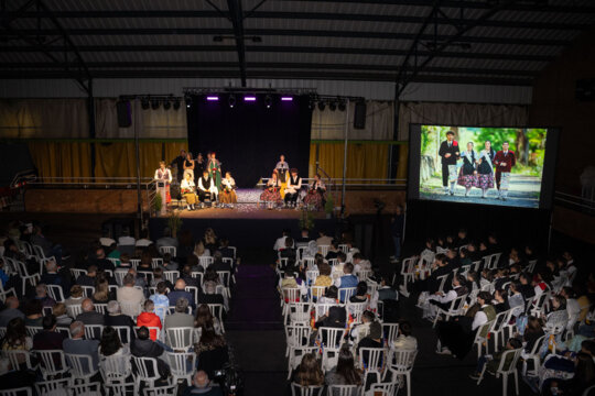 Festa del pubillatge
