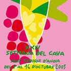 Cartell de l'edició 2005