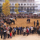 La pista