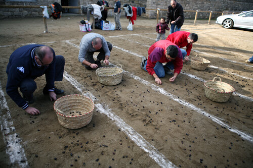 Concurs de plegar olives