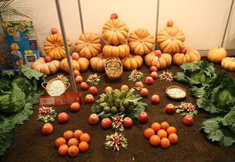Mostra de Fruites i Verdures