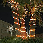 Llums als arbres
