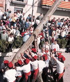 Aixecant col·lectivament l'arbre