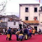 Aixecant l'arbre amb cordes