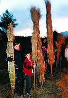 Les faies de Sant Julià de Cerdanyola