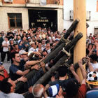 Falcant el xop a El Palomar (La Vall d'Albaida)