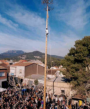 Galeria principal