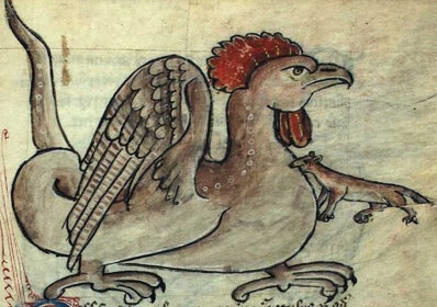 Dibuix en un manuscrit del segle XVII