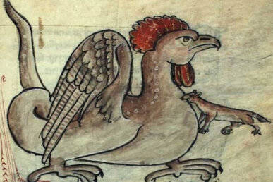 Dibuix en un manuscrit del segle XVII