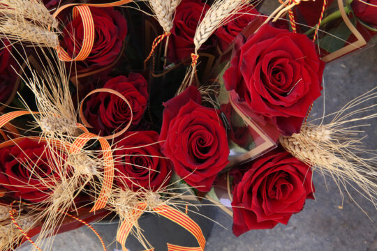 Roses i espigues