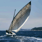 Trobada de Barques amb Vela Llatina