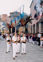 Ball del Miralpeix