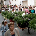 Les cavalleries i els portants