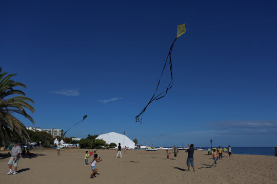 Fent volar els estels a la platja