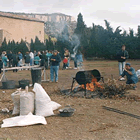 La Torrada de l'any 1994
