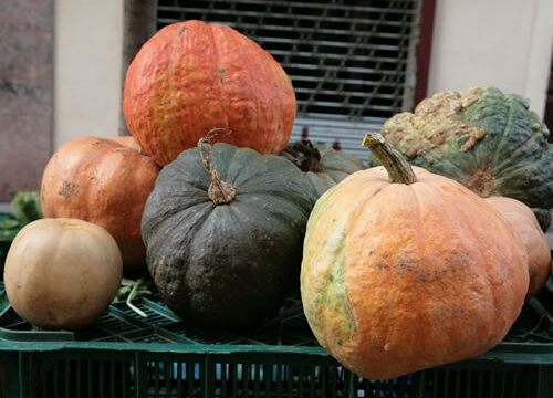 Les carbasses, matèria prima