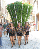Les alfabegueres gegants de Bétera