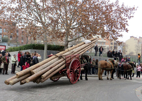 Carro de bigues