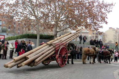 Carro de bigues