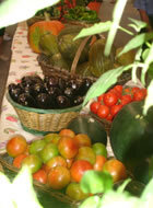 Productes del camp
