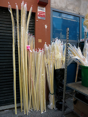 Palmons en una parada, embolicats
