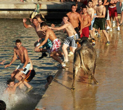 Qui, d'entre la multitud, aconsegueix fer caure el bou al mar és ovacionat pels deniers