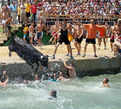 El moment en què el bou cau a l'aigua, la multitud esclata d'alegria