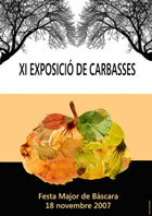 Cartell de l'edició 2007