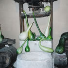 Mostra de carbasses verdes