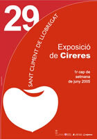 Cartell de la festa (2005)
