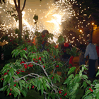 Correfoc cirerer