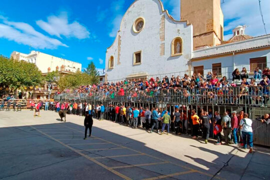 Els bous són un dels protagonistes