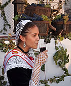 La Font de Vi de Sitges al 2007 (Foto: Foment del Turisme de Sitges )