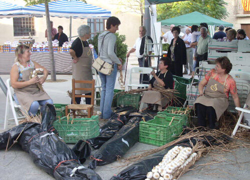 Les cornellenques mostren com s'enforquen els alls