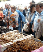 Parades amb bolets frescos