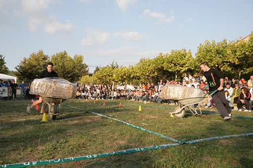 Transport de bales de palla