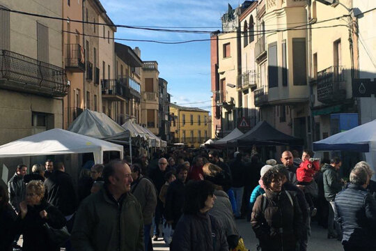 Un dels carrers del poble durant la fira