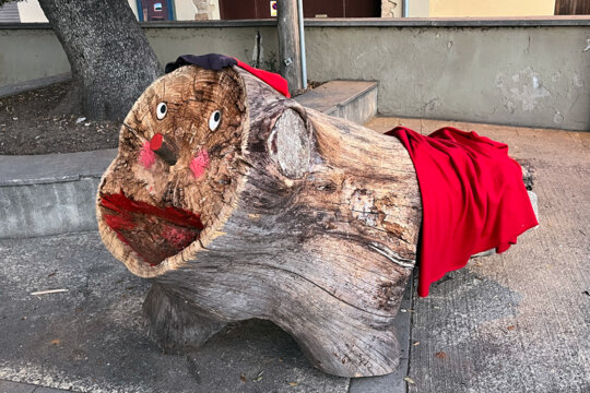 Tió públic (Sant Jordi Desvalls) Foto: Manel Carrera