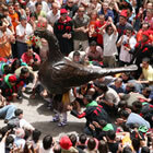 L'Àliga de Berga