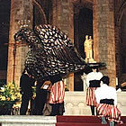 L'àliga de Barcelona a Santa Maria del Mar