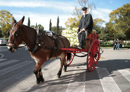 Carro de pagès