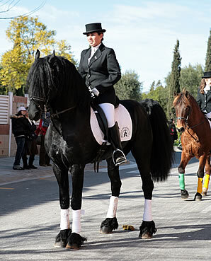 Genet a cavall